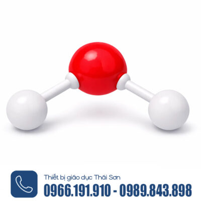 Mô hình phân tử nước dạng rỗng