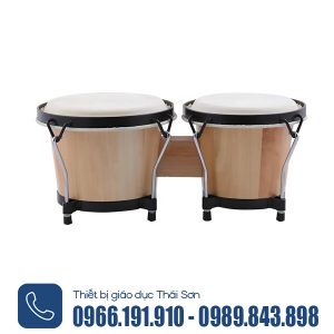 bongo