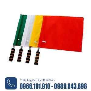 Cờ lệnh thể thao