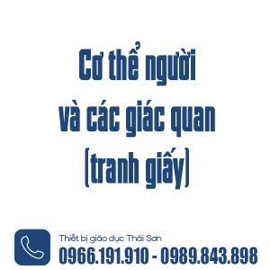 cơ thể người và các giác quan