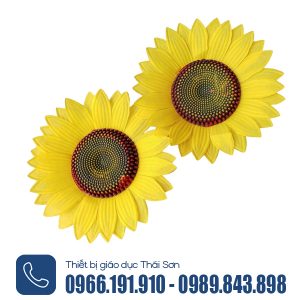 Hoa tập thể dục