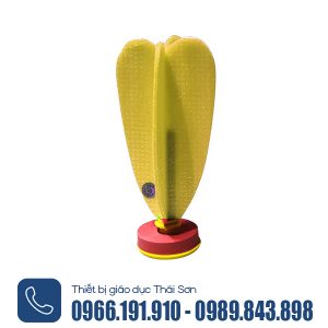 quả cầu đá tập luyện