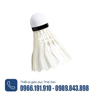 quả cầu lông