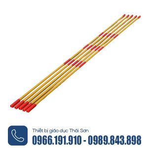 Sào cứu hộ