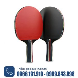 Vợt bóng bàn